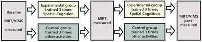 Training of spatial cognitive abilities reduces symptoms of visually induced motion sickness